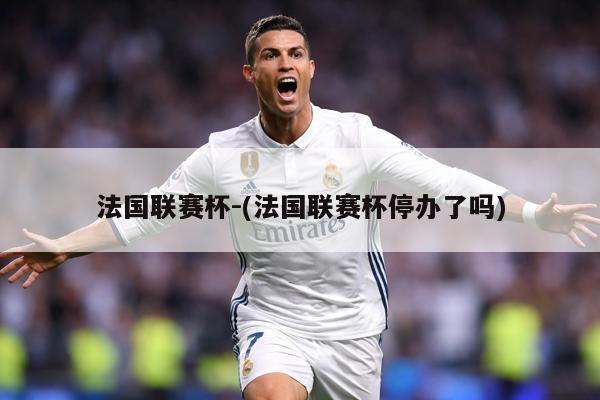 法国联赛杯-(法国联赛杯停办了吗)
