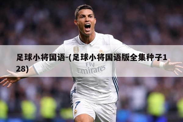 足球小将国语-(足球小将国语版全集种子128)