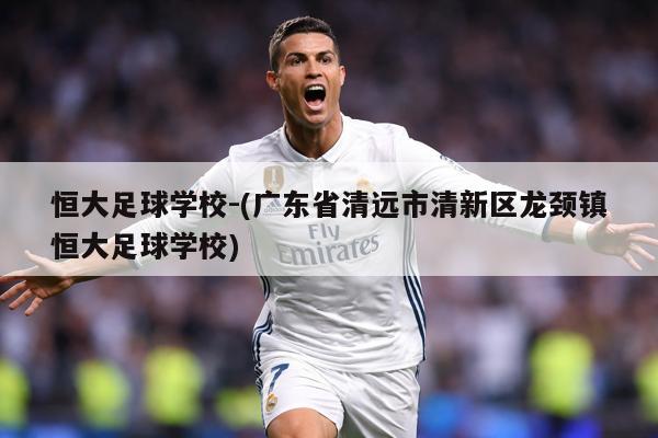 恒大足球学校-(广东省清远市清新区龙颈镇恒大足球学校)
