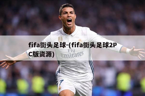 fifa街头足球-(fifa街头足球2PC版资源)