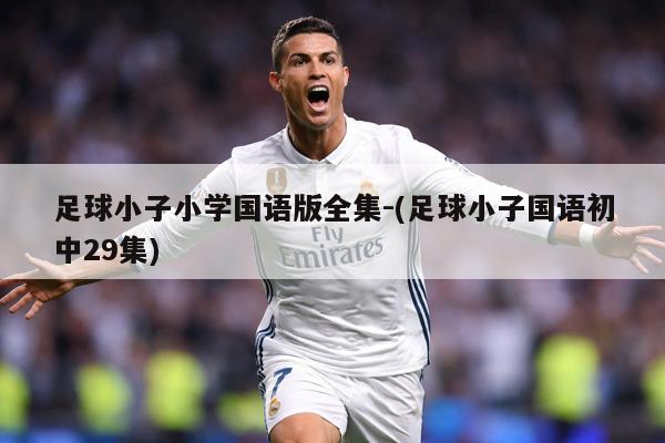足球小子小学国语版全集-(足球小子国语初中29集)