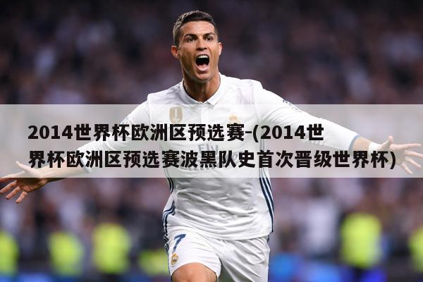 2014世界杯欧洲区预选赛-(2014世界杯欧洲区预选赛波黑队史首次晋级世界杯)