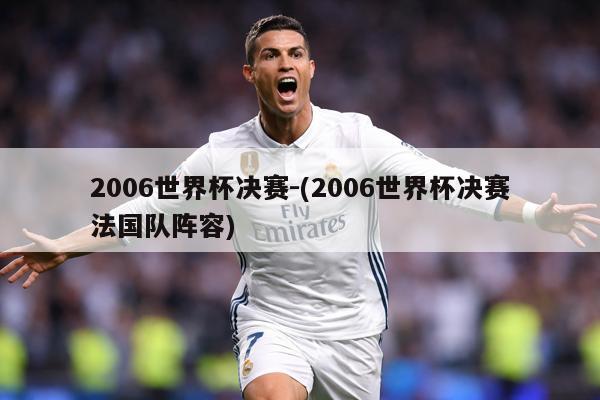 2006世界杯决赛-(2006世界杯决赛法国队阵容)
