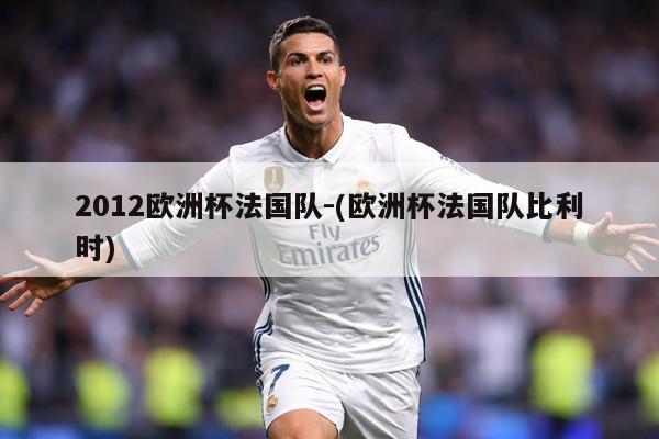 2012欧洲杯法国队-(欧洲杯法国队比利时)