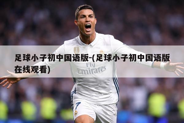 足球小子初中国语版-(足球小子初中国语版在线观看)