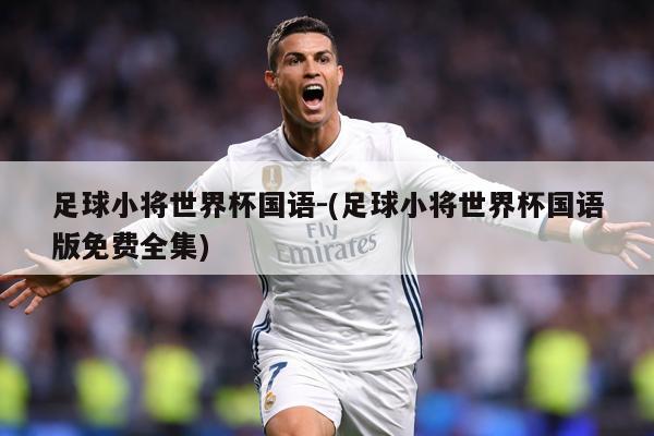 足球小将世界杯国语-(足球小将世界杯国语版免费全集)