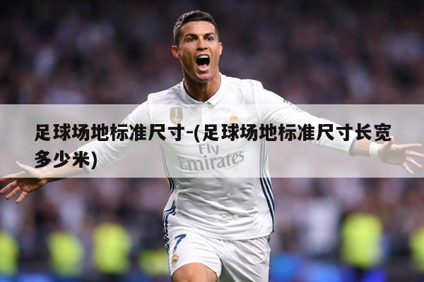 足球场地标准尺寸-(足球场地标准尺寸长宽多少米)